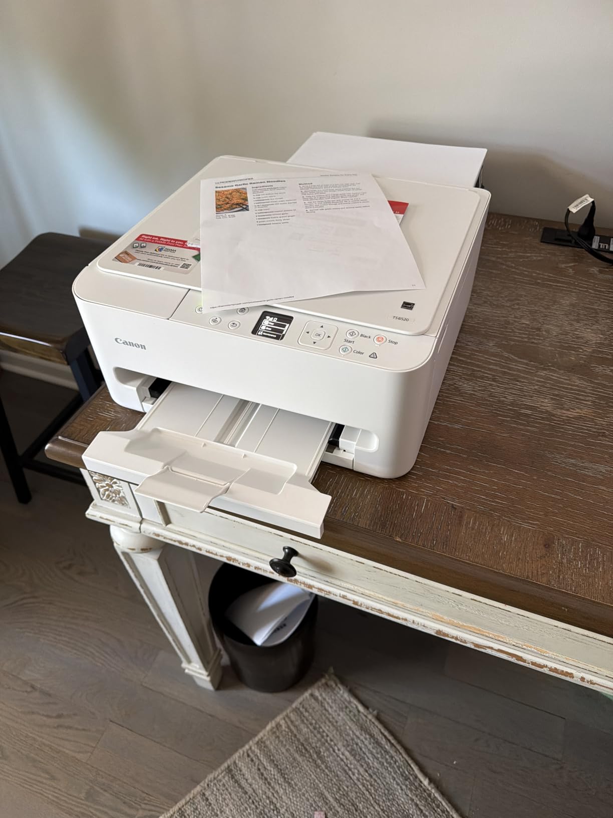 Canon PIXMA TS6520 Wireless Color Inkjet Printer customer photo 1