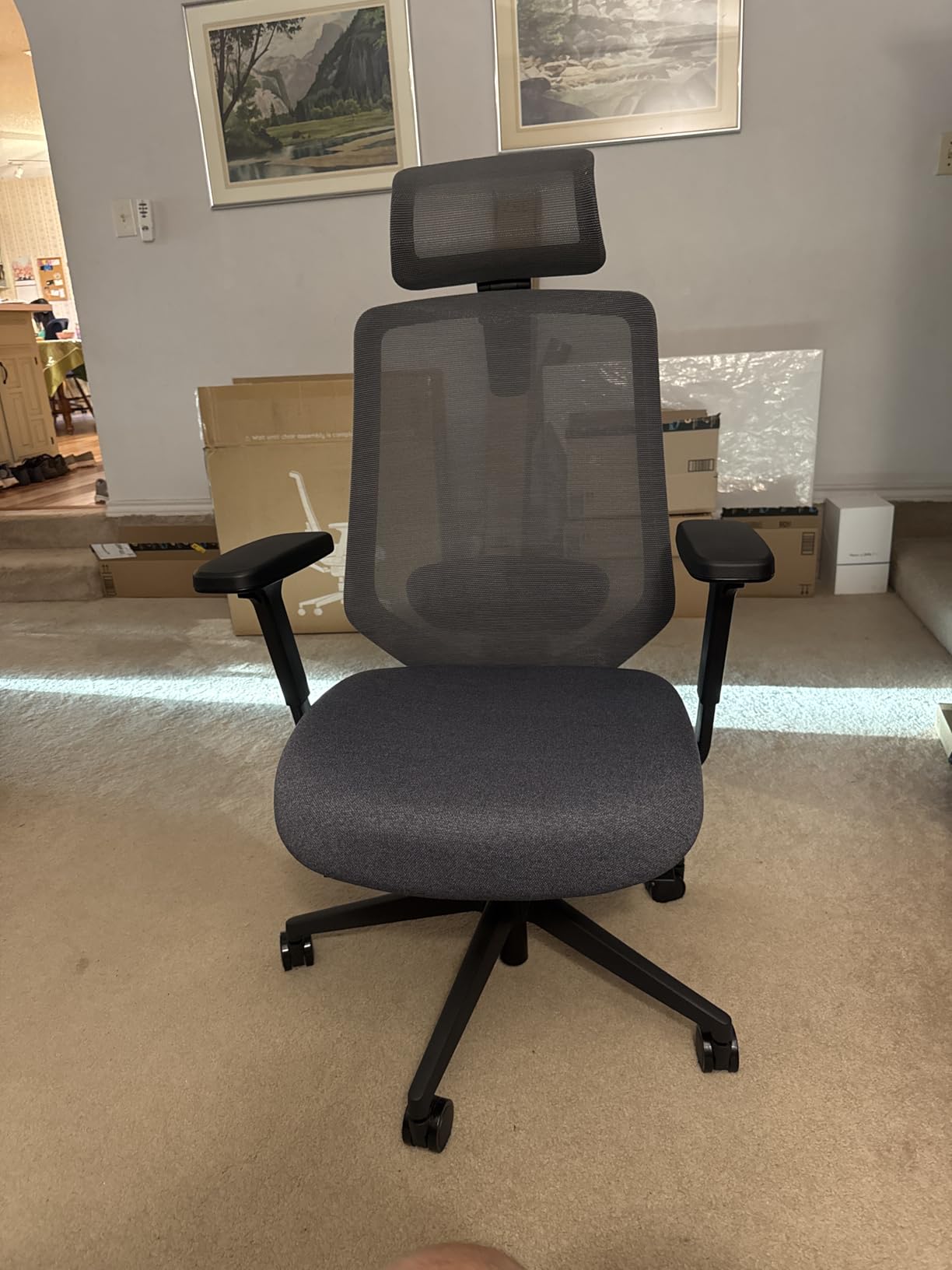 Branch Ergonomic Chair Pro - Mesh Office Chair with 14 Points of Adjustment - Height, Depth & Tilt Adjustable - 5D Armrests - Forward Tilt, Smooth Recline, and Lumbar Support - Mineral customer photo 1