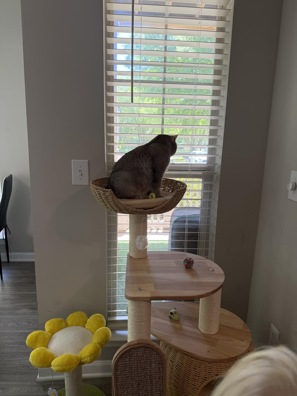 Modern Cat Tree, Cat Tower with Scratching Post, Handwoven Pumpkin Nests and Baskets, Sisal Blanket customer photo 1