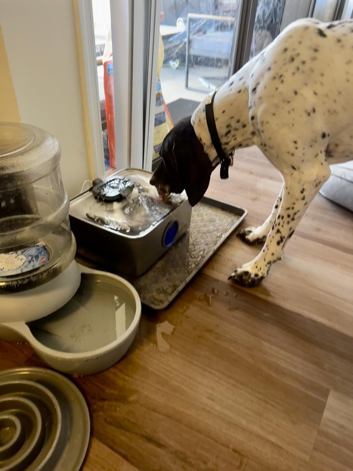 SIBAYS 4Gal/15L Dog Water Fountain, Stainless Steel Large Capacity Pet Water Fountain with Water Level LED Light, Automatic Quiet Dog Water Bowl Dispenser for Large Dogs & Multi-Pet Easy to Clean FS79 customer photo 2
