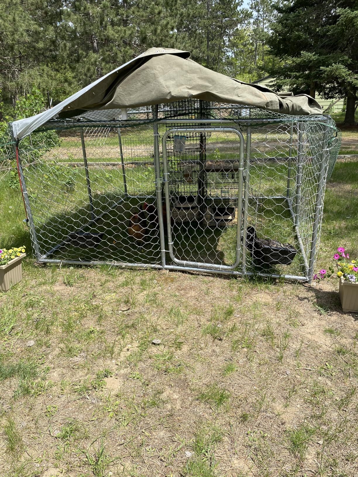 7.8x7.8FT Heavy Duty Outdoor Dog Kennel with Waterproof & UV-Resistant Roof, Secure Locking Mechanism - All-Weather Metal Enclosure for Large Dogs customer photo 1
