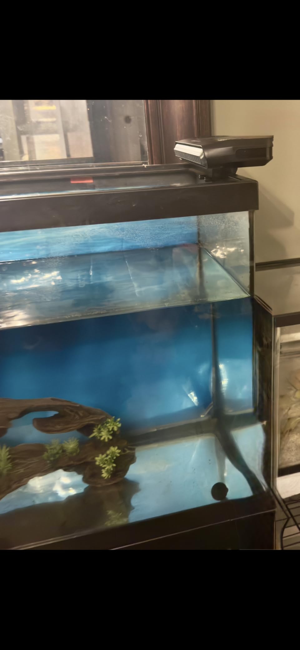 Aquarium Fan, Ultra-Quiet Fish Tank Cooler, More Powerful, Cooling Effect 3-7F with 3 Speed Modes Adjustable Applicable Aquariums with or Without Edges, for Axolotl Seawater Freshwater Coral Grass Tank customer photo 1