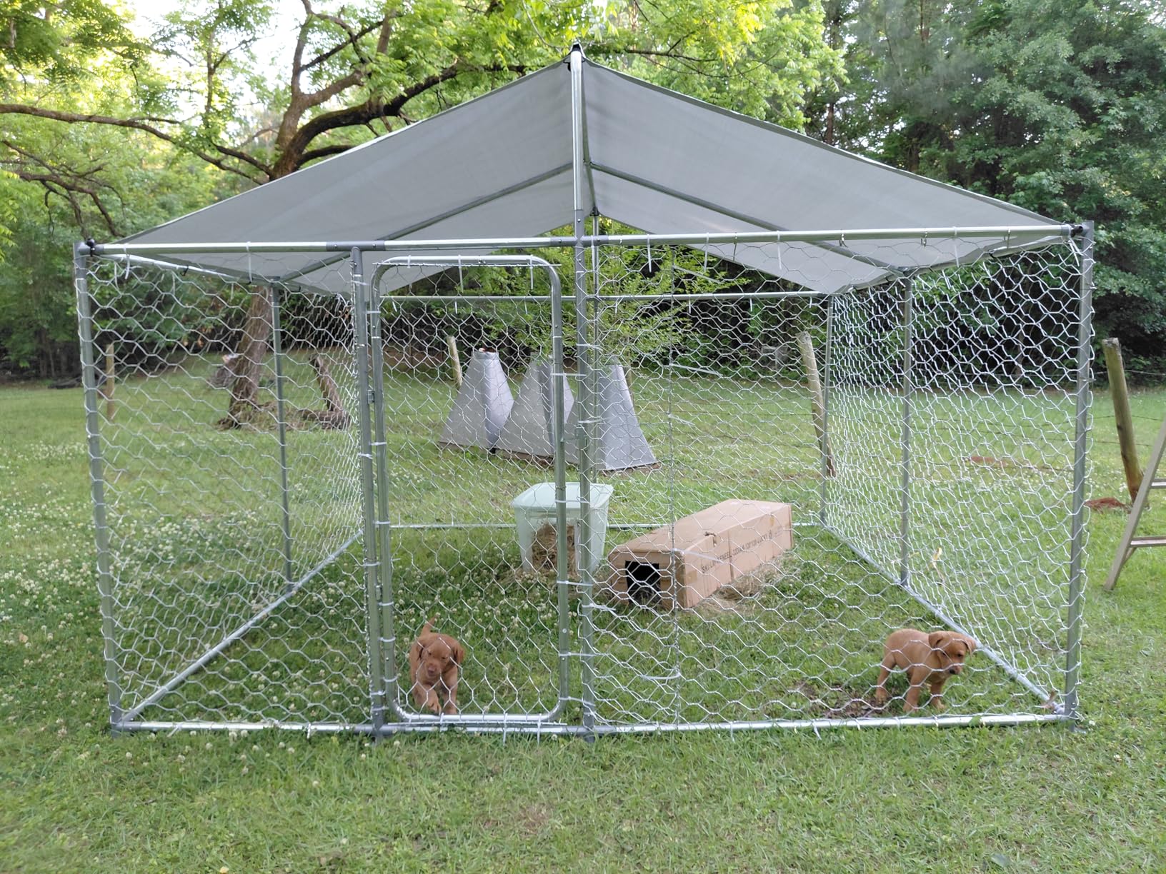 10x10FT Dog Kennel Outdoor Outside, Heavy Duty Metal Dog Enclosure with Waterproof Oxford Roof & Security Lock, Panels for Large Dogs & Small Animals, Backyard Pet Playpen customer photo 1