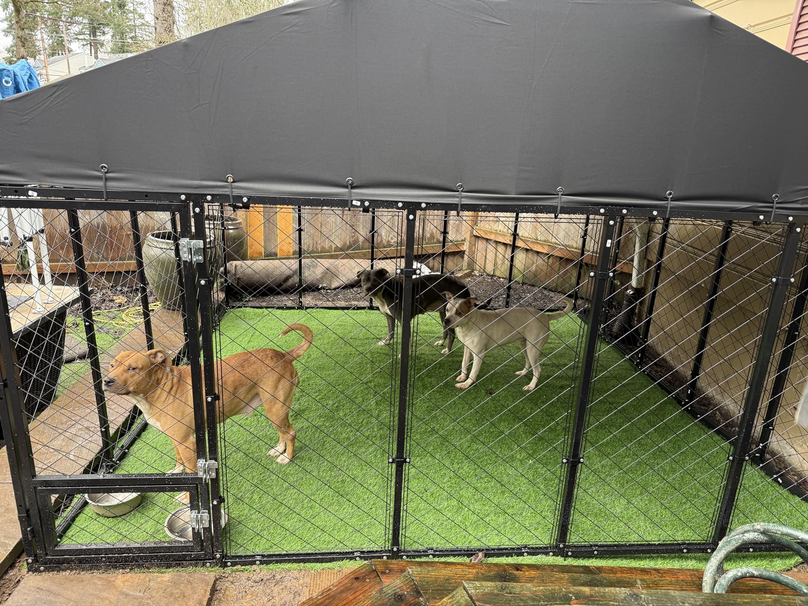 10x10x6.4 FT Large Outdoor Dog Kennel with Roof, Heavy Duty Anti-Rust Metal Dog Enclosure Fence for All Weather Resistant, Secure Double Locks customer photo 1