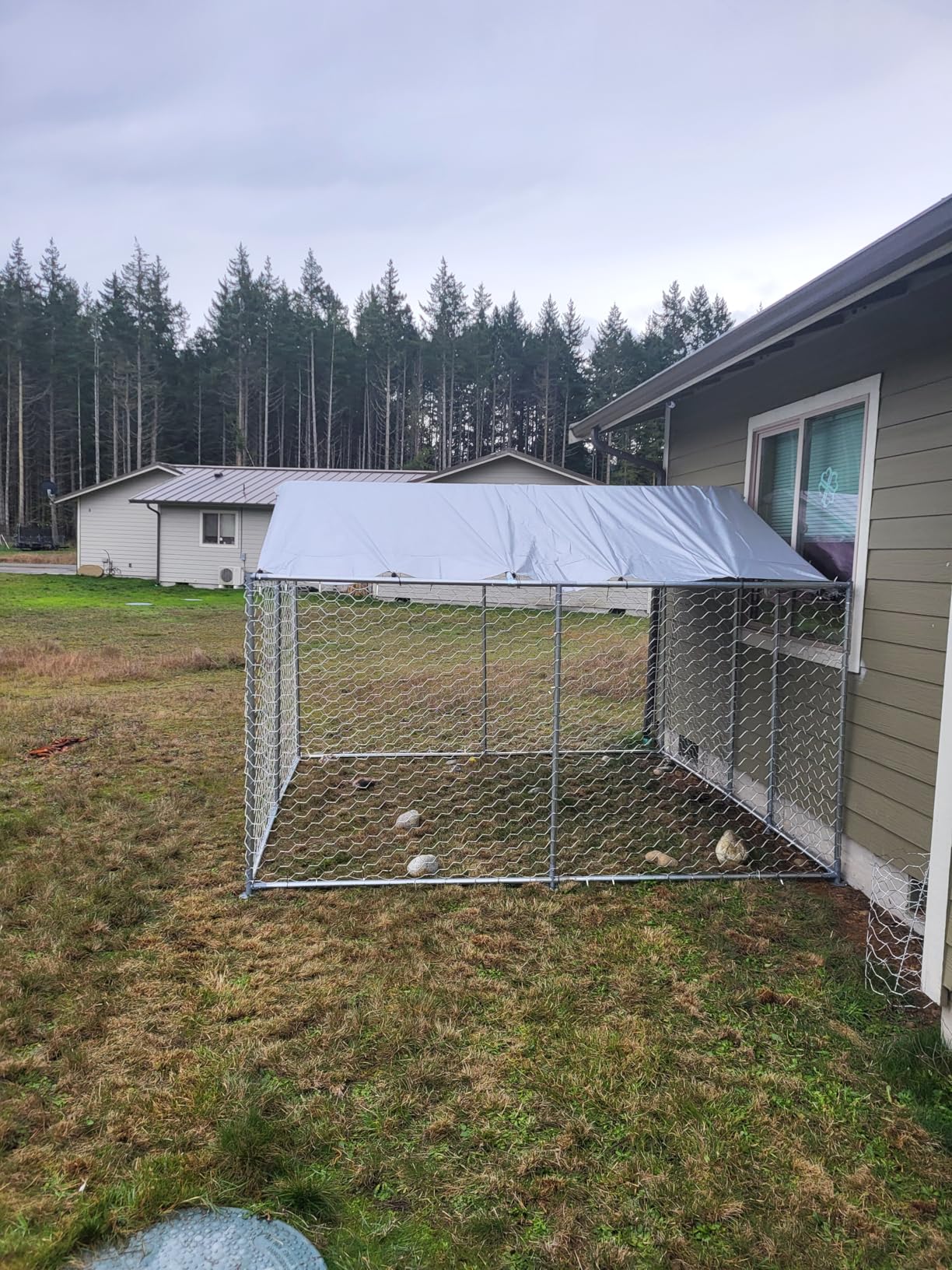 10'x10' Large Outdoor Dog Kennel Outside for Large Dogs, Heavy Duty Dog Enclosure with Wire Mesh Fence, Lock & Waterproof Cover customer photo 1