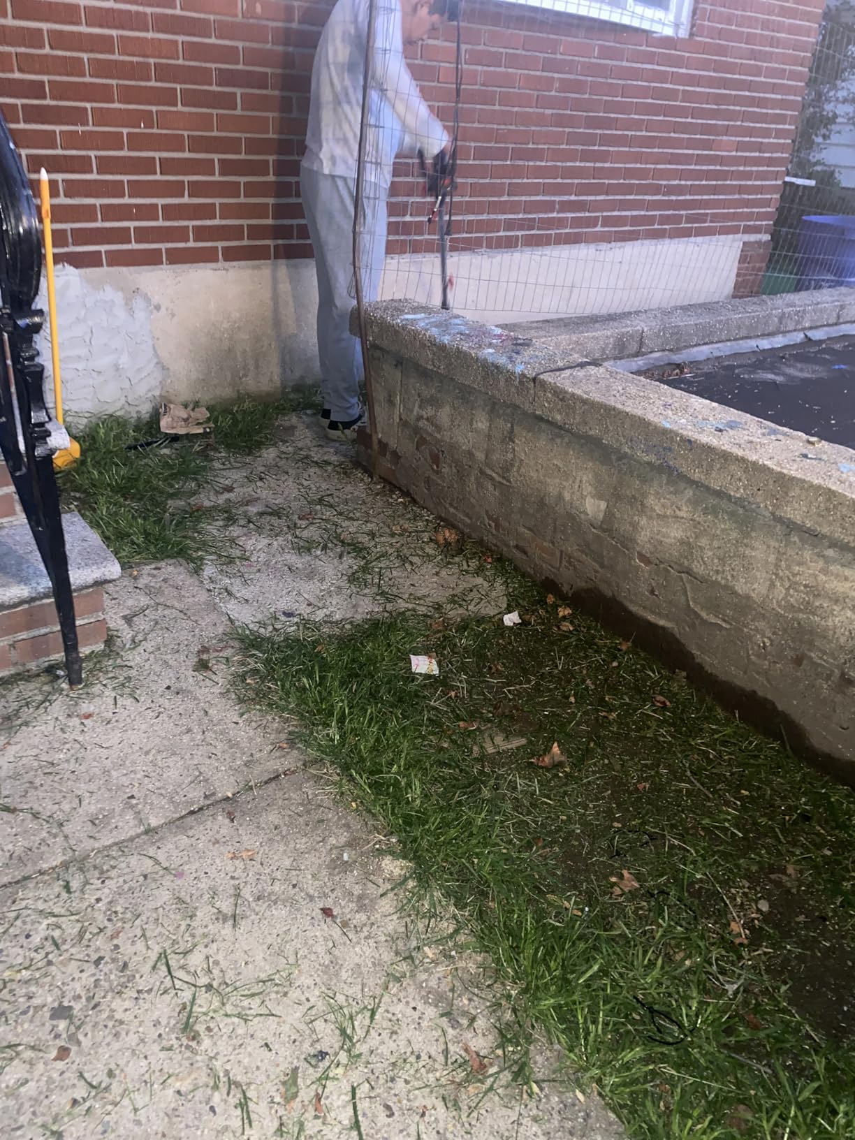 MZK 20V 12'' Cordless String Trimmer, Grass Trimmer&Edger with 8 Replacement Spools, Battery Powered Weed Trimmer with Auto Line Feed for Garden, Lawn(2 * 2AH Battery and Charger Included),ST12D07 customer photo 1