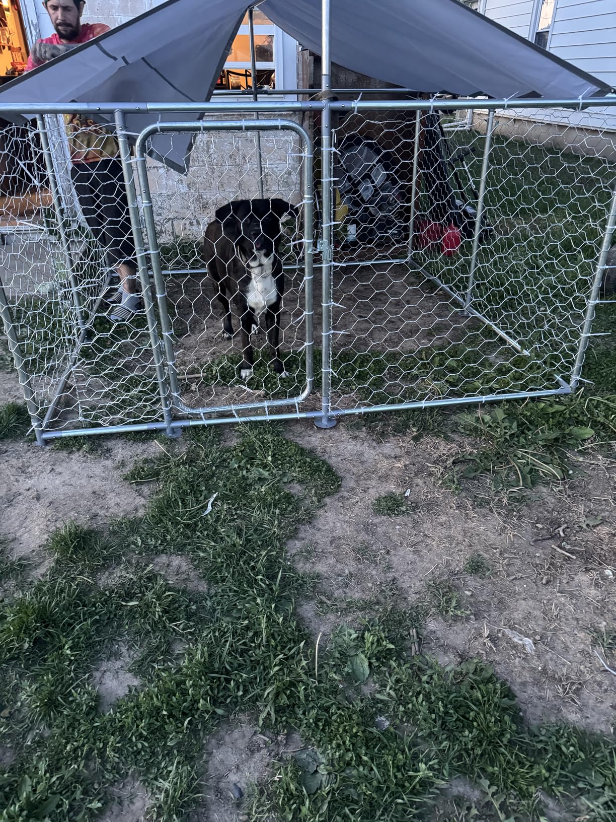 7.8x7.8 FT Extra Large & Heavy Duty Dog Kennel Run - Outdoor Metal Enclosure with Lockable Door and Waterproof Cover for Big Dogs customer photo 1