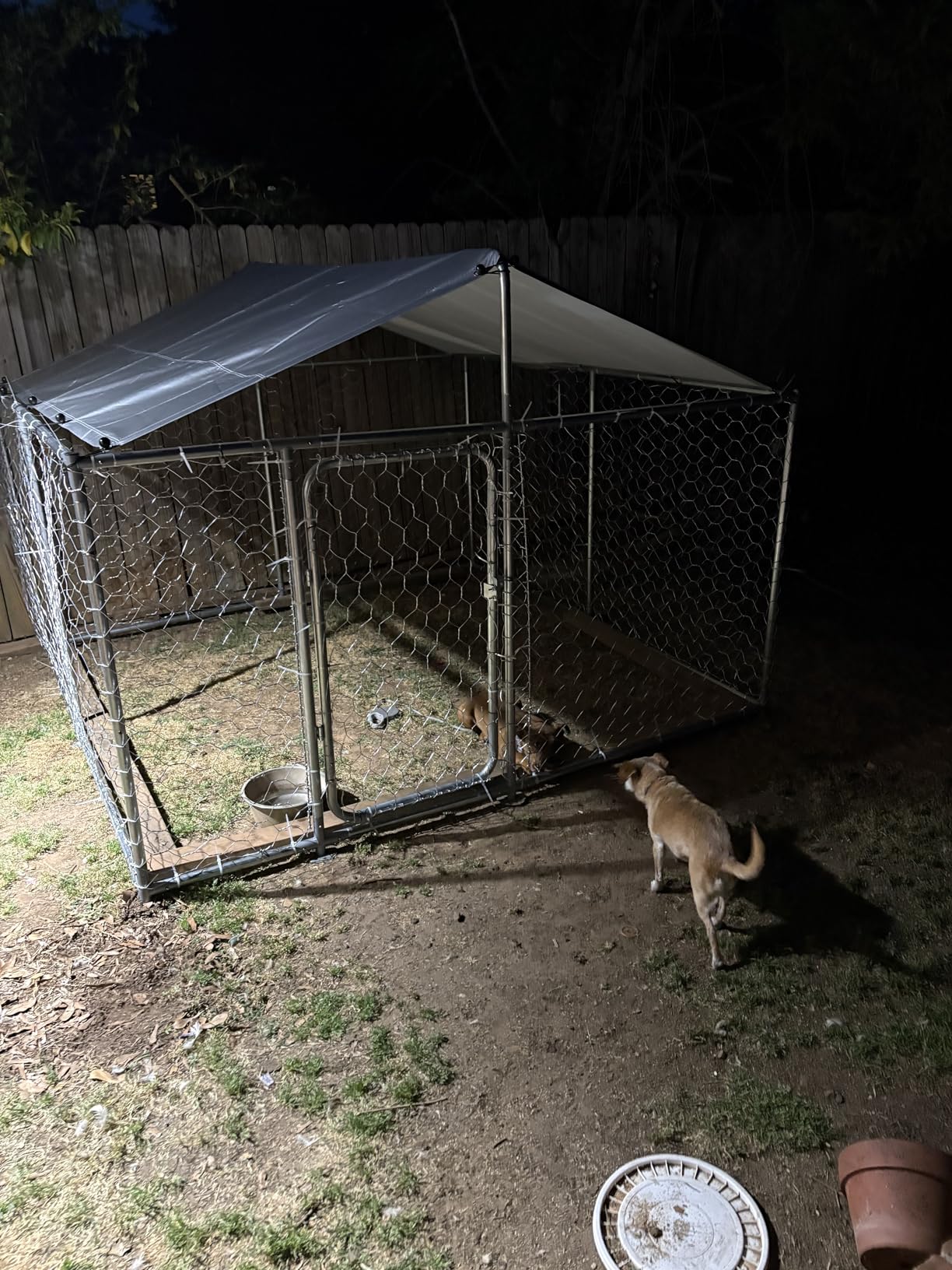 7.8x7.8 FT Extra Large & Heavy Duty Dog Kennel Run - Outdoor Metal Enclosure with Lockable Door and Waterproof Cover for Big Dogs customer photo 2