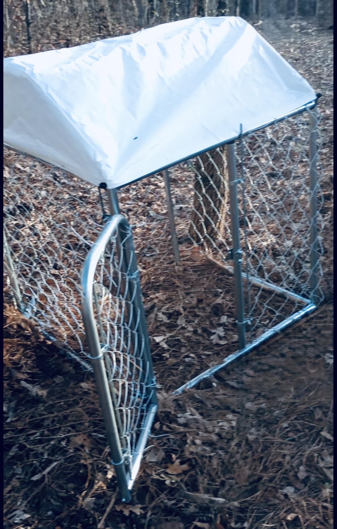 LotFun 10x10 FT Dog Kennel, Heavy Duty Outdoor Dog Enclosure with UV & Rain-Proof Fully Covered Roof, Double Security Locks and Rustproof Metal Mesh for Large Dogs House (10x10x6 FT) customer photo 1
