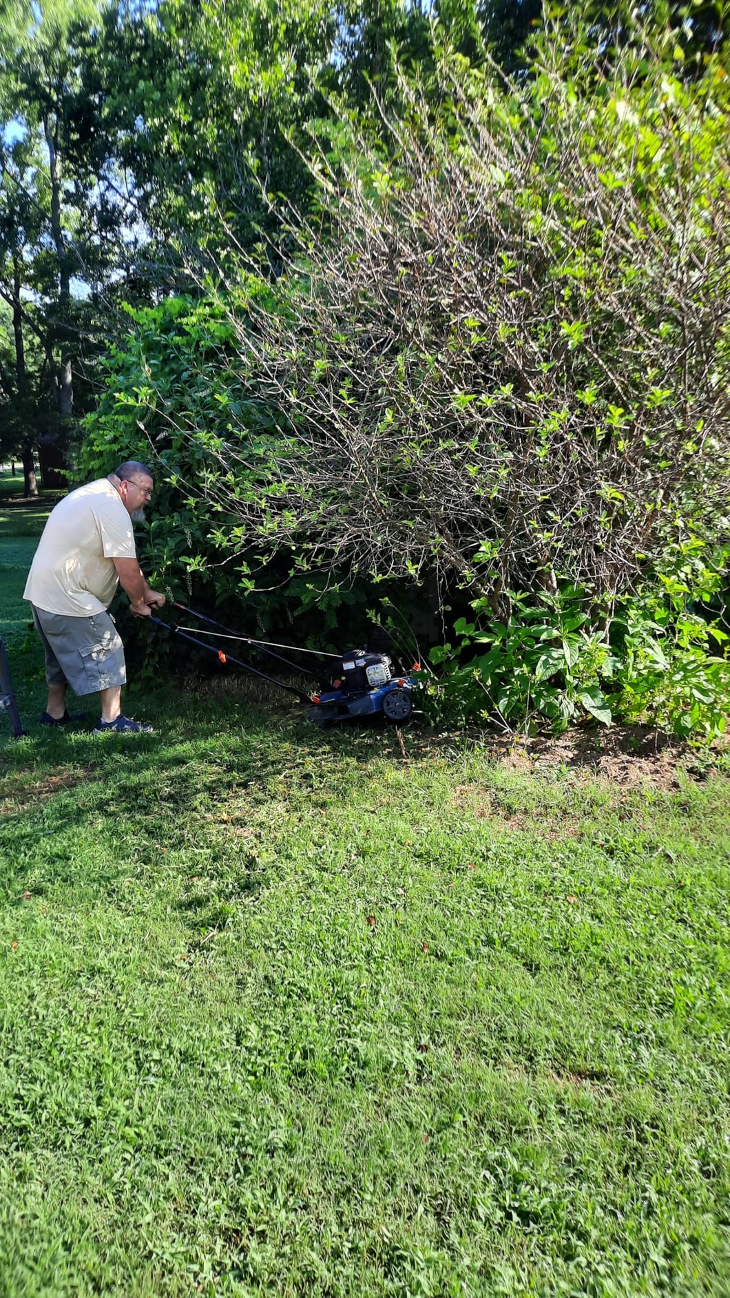 SENIX 22 Inch 3-in-1 Gas Lawn Mower, 201cc Rear Wheel Single Speed Self-Propelled Mower, 4-Cycle Engine, Steel Deck, Mulching, Bagging, Discharging, 6-Position Cutting Height Adjustable, for Yard customer photo 1