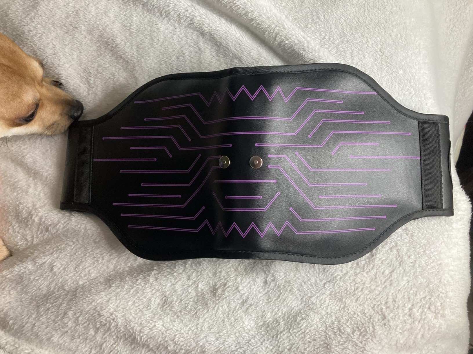 FDA Cleared - Abs Stimulator Muscle Toner, EMS Muscle Stimulator, Fitness Belt Ab Workout Equipment customer photo 2