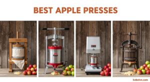 Best Apple Presses