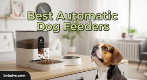 Best Automatic Dog Feeders