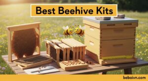 Best Beehive Kits