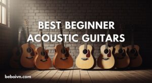 Best Beginner Acoustic Guitars