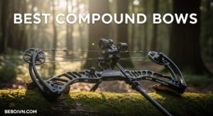 Best Compound Bows