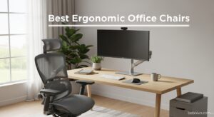 Best Ergonomic Office Chairs