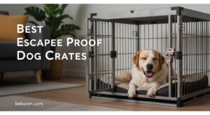 Best Escape Proof Dog Crates