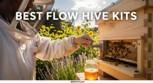 Best Flow Hive Kits