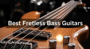 Best Fretless Bass Guitars