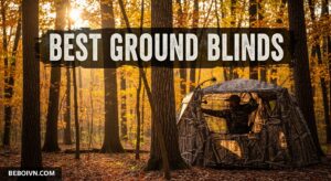 Best Ground Blinds