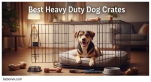 Best Heavy Duty Dog Crates