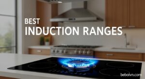 Best Induction Ranges