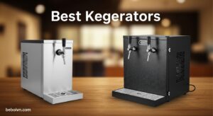 Best Kegerators
