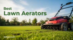 Best Lawn Aerators