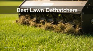 Best Lawn Dethatchers