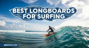 Best Longboards for Surfing
