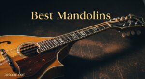 Best Mandolins