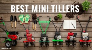 Best Mini Tillers