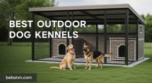 Best Outdoor Dog Kennels