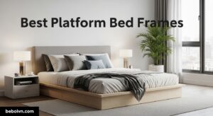 Best Platform Bed Frames