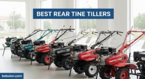 Best Rear Tine Tillers
