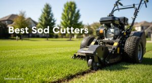 Best Sod Cutters