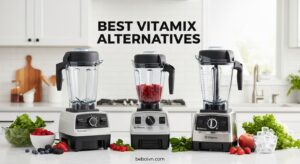 Best Vitamix Alternatives