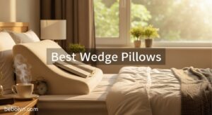 Best Wedge Pillows