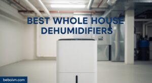 Best Whole House Dehumidifiers