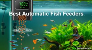 Best Automatic Fish Feeders