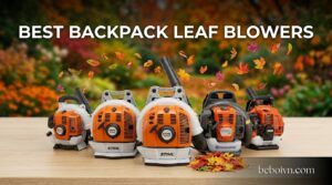 Best Backpack Leaf Blowers