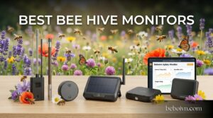 Best Bee Hive Monitors