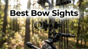 Best Bow Sights