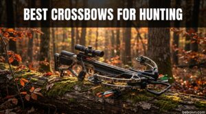 Best Crossbows For Hunting