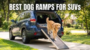 Best Dog Ramps for SUVs