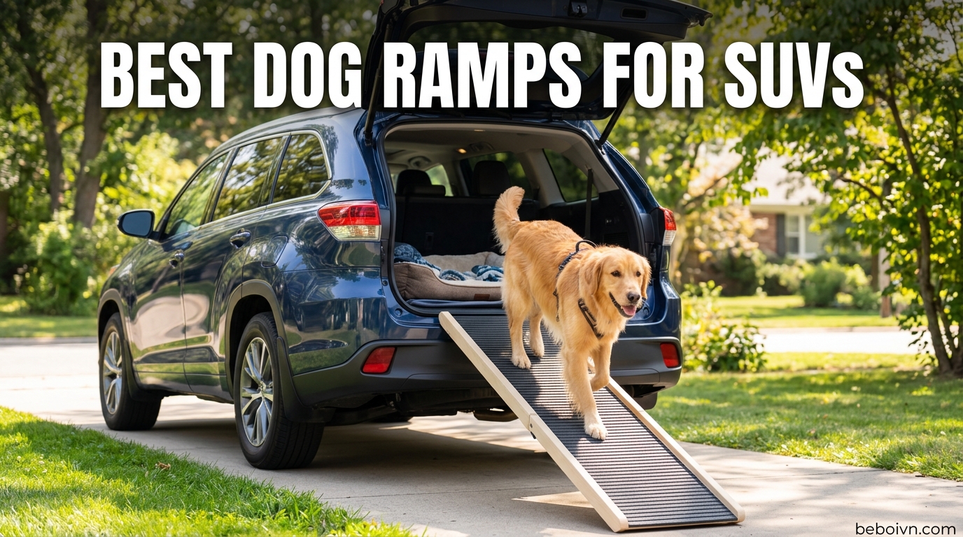 Best Dog Ramps for SUVs