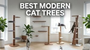 Best Modern Cat Trees