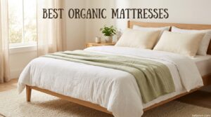 Best Organic Mattresses