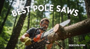 Best Pole Saws